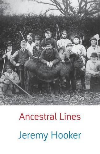 Cover image for Ancestral Lines