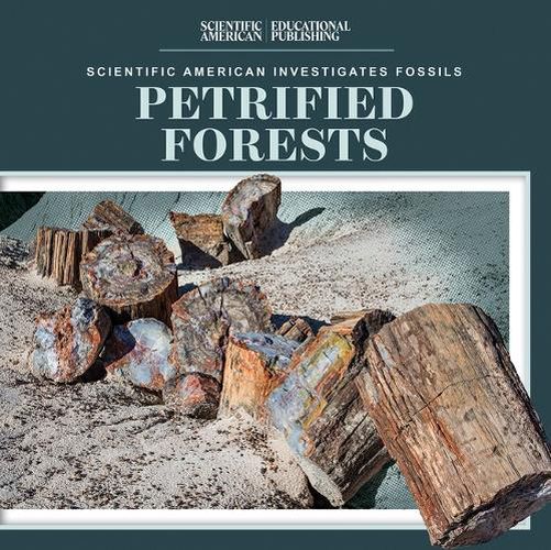 Cover image for Petrified Forests