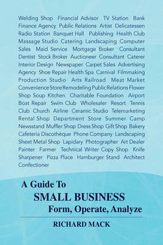 Cover image for A Guide to Small Business Form, Operate, Analyze