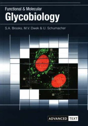 Cover image for Functional and Molecular Glycobiology