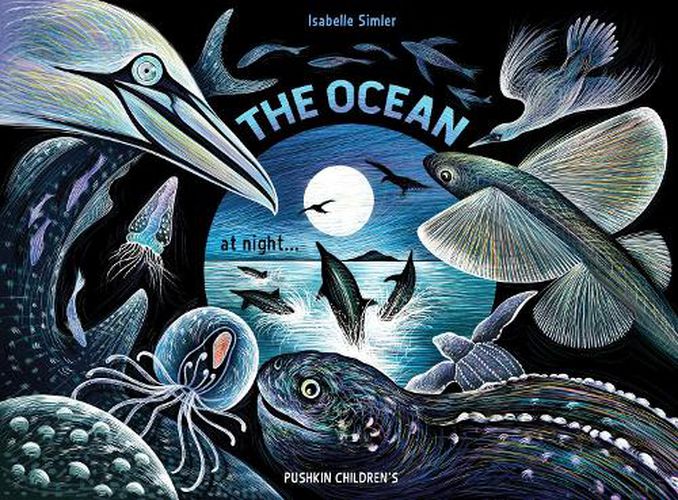 Cover image for The Ocean at Night