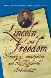 Cover image for Lincoln and Freedom: Slavery, Emancipation, and the Thirteenth Amendment