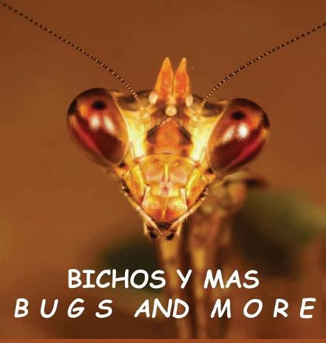 Bichos y Mas: Bugs and More