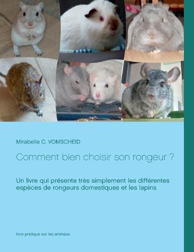 Comment bien choisir son rongeur ?