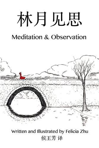 Cover image for Meditation and Observation