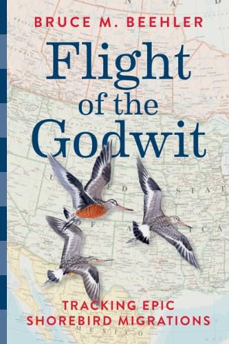 Cover image for Flight of the Godwit