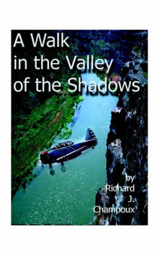 Cover image for A Walk in the Valley of the Shadows