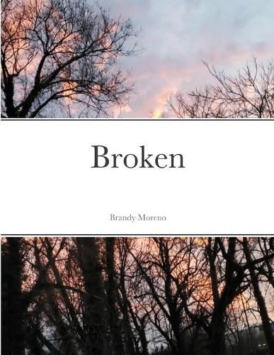 Cover image for Broken