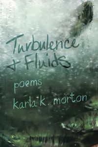 Cover image for Turbulence & Fluids