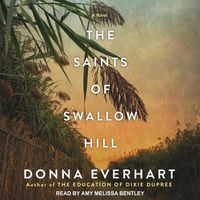 Cover image for The Saints of Swallow Hill