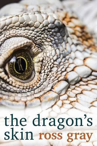 Cover image for The Dragon's Skin