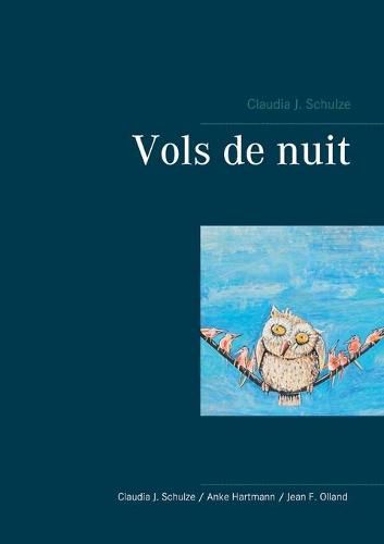 Cover image for Vols de nuit