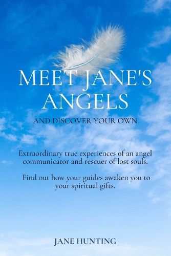 Cover image for Meet Jane's Angels