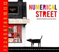 Cover image for Numerical Street