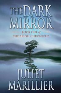 Cover image for The Dark Mirror