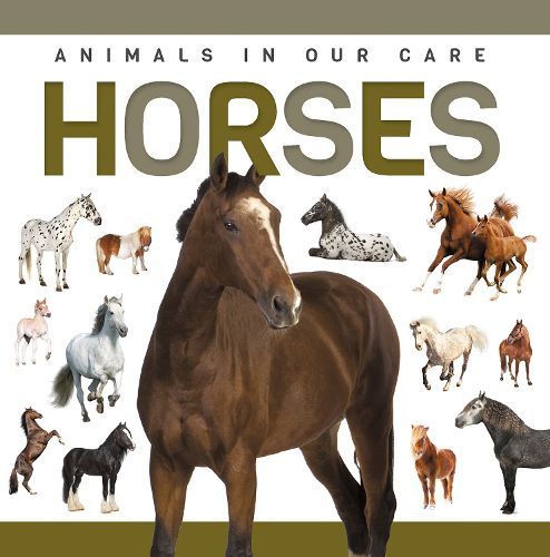 Cover image for Horses