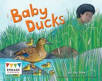 Cover image for Baby Ducks