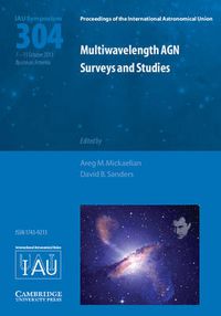 Cover image for Multiwavelength AGN Surveys and Studies (IAU S304)