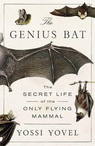 Cover image for The Genius Bat