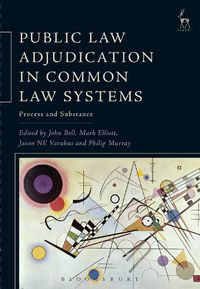 Cover image for Public Law Adjudication in Common Law Systems: Process and Substance