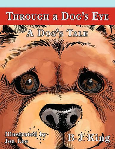 Cover image for Through a Dog's Eye