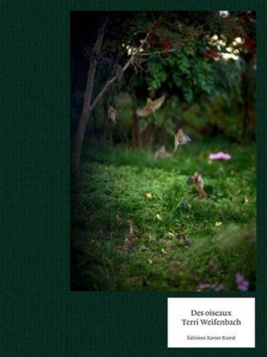 Cover image for Terri Weifenbach - Des Oiseaux