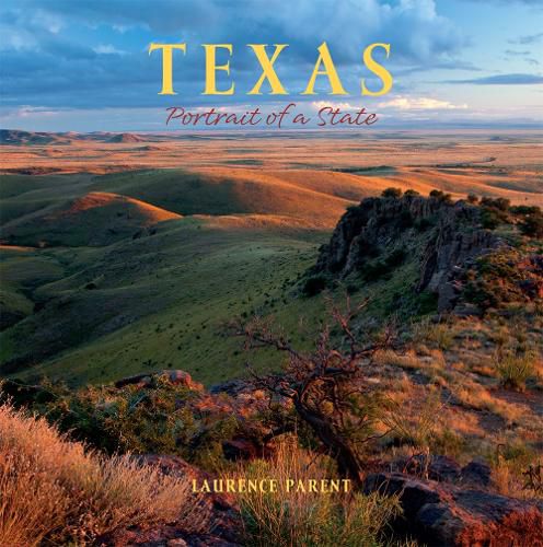 Cover image for Texas: Portrait of a State