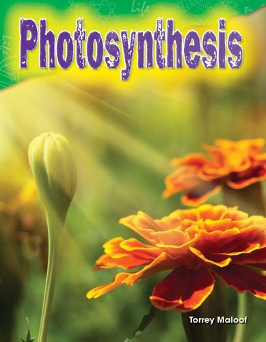 Cover image for Photosynthesis