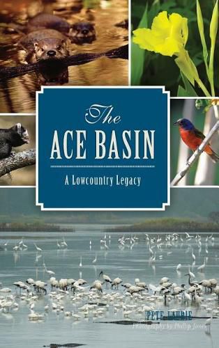 The: Ace Basin: A Lowcountry Legacy