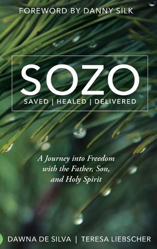 Cover image for Sozo Saved Healed Delivered: A Journey Into Freedom with the Father, Son, and Holy Spirit