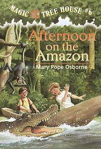 Cover image for Afternoon on the Amazon