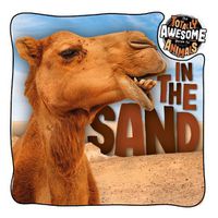 Cover image for In the Sand