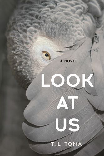 Cover image for Look at Us