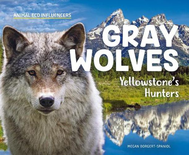 Cover image for Gray Wolves: Yellowstone's Hunters