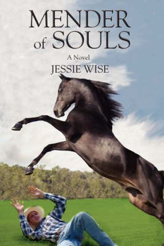 Cover image for Mender of Souls