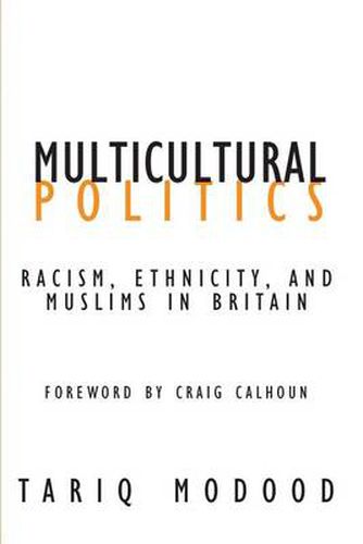 Cover image for Multicultural Politics: Racism, Ethnicity, and Muslims in Britain