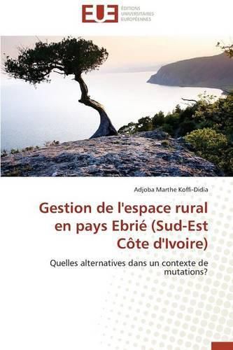 Cover image for Gestion de l'espace rural en pays ebrie (sud-est cote d'ivoire)