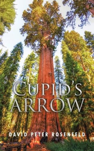 Cover image for Cupid's Arrow