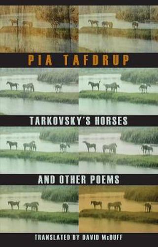 Cover image for Tarkovsky's Horses and other poems