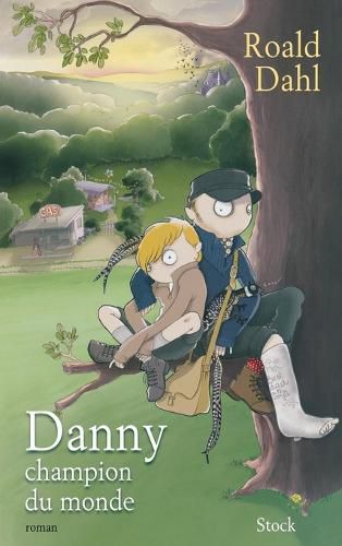 Cover image for Danny champion du monde