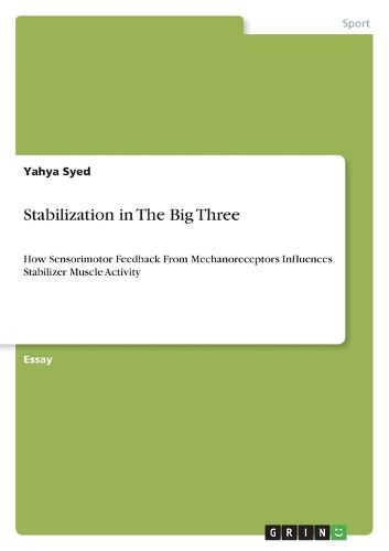 Cover image for Stabilization in The Big Three