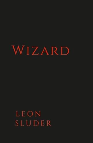 Cover image for Wizard