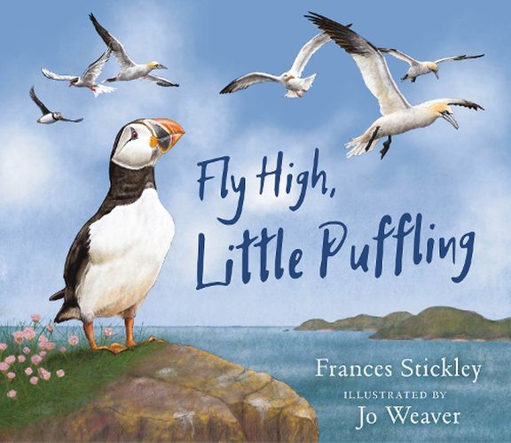 Cover image for Fly High, Little Puffling