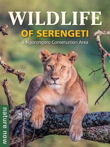 Cover image for Wildlife of Serengeti & Ngorongoro Conservation Area