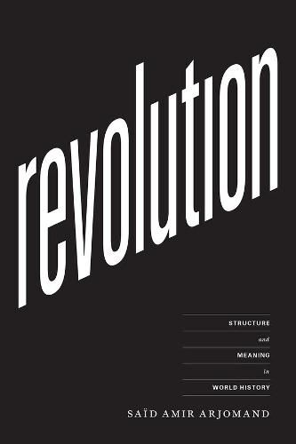 Cover image for Revolution: Structure and Meaning in World History