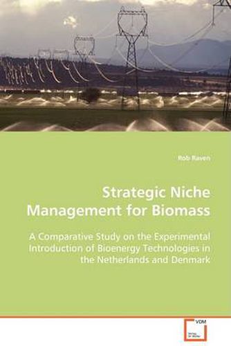 Cover image for Strategic Niche Management for Biomass