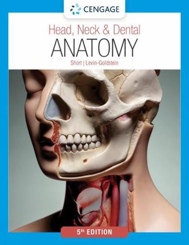 Cover image for Head, Neck & Dental Anatomy