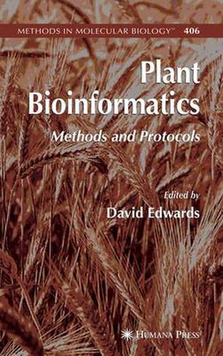 Cover image for Plant Bioinformatics: Methods and Protocols