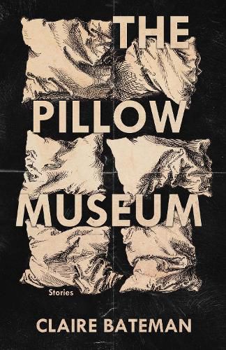 Cover image for The Pillow Museum