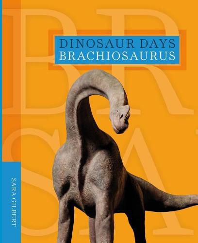 Cover image for Brachiosaurus